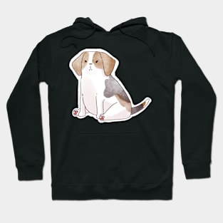 Cute beagle puppy Hoodie